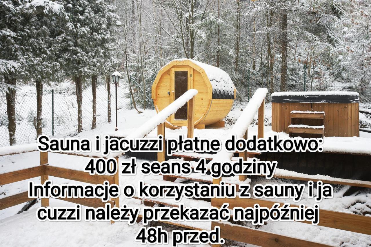 Apartament Widokowy Z Jacuzzi I Sauna Na Wylacznosc - Sikorowka - Dobre Miejsce Wisła Exterior foto
